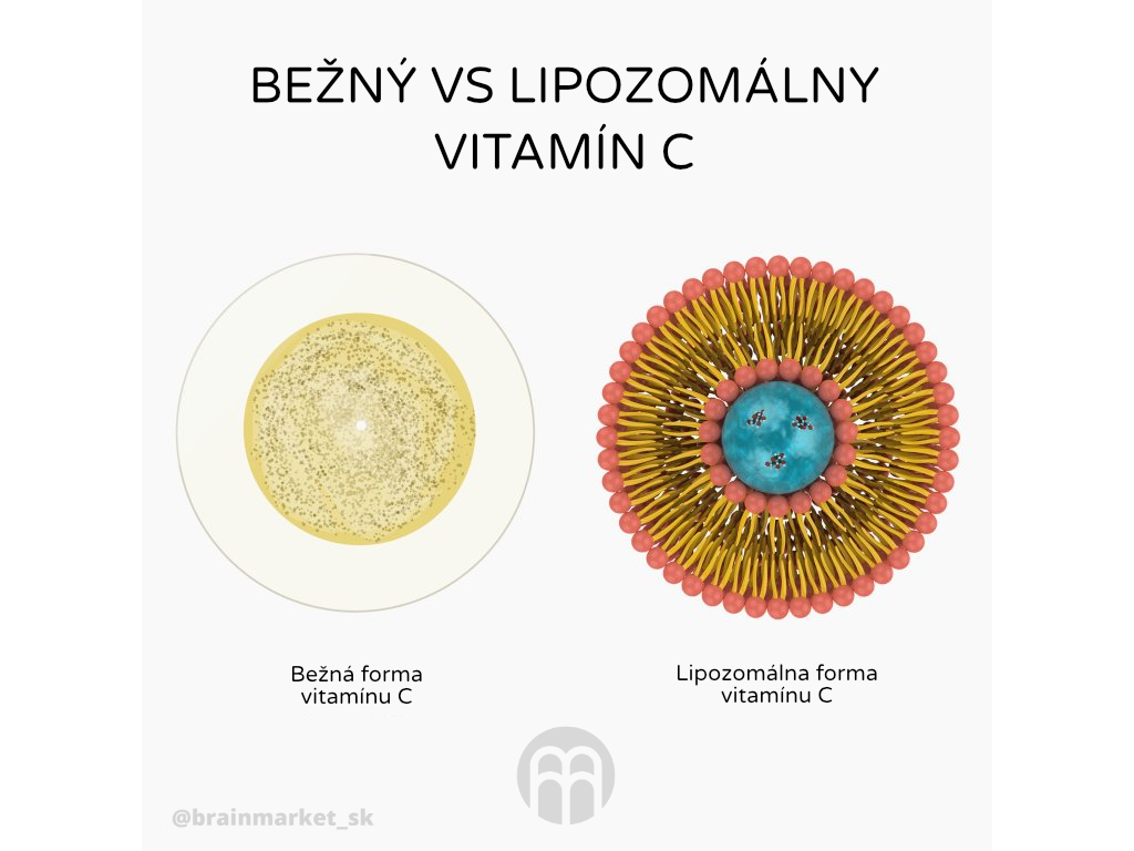 prirodni vs synteticky vitamin C_cz